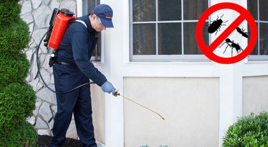 Uluborlu Kene İlaçlama böcek ilaçlama ve haşere kontrolü — ilaclama-tr.com